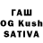 Псилоцибиновые грибы Psilocybine cubensis Lastak_ SRP