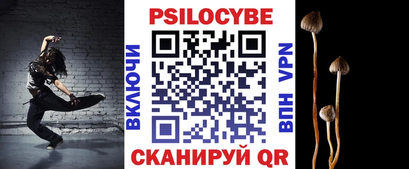 блэк спрут как зайти  Лесосибирск  Псилоцибиновые грибы Cubensis  закладки 