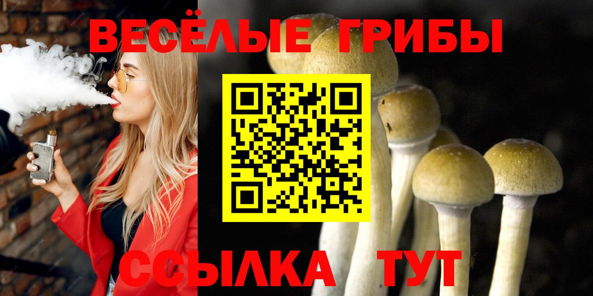 Псилоцибиновые грибы GOLDEN TEACHER Лесосибирск