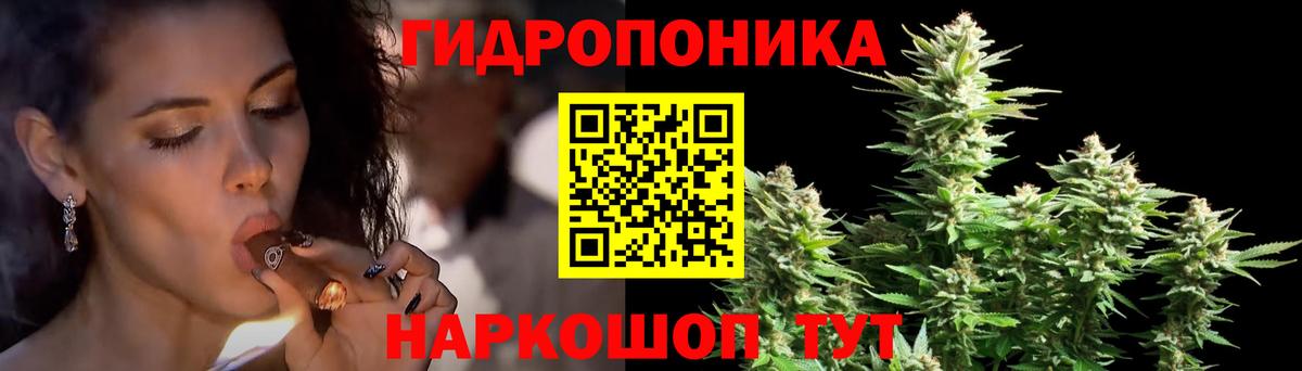 Марихуана сатива  Каннабис OG Kush  Марихуана гибрид  Вход с VPN  Канабис план  Лесосибирск 